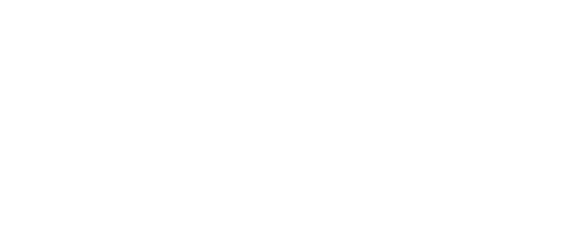 ADEHASC